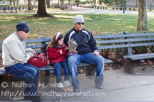 A girl plays with squirrels in Battery Park